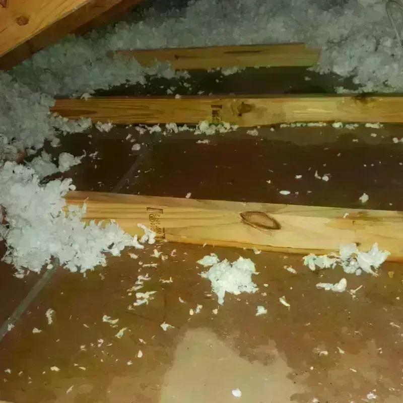 Attic Water Damage in Wayne County, UT