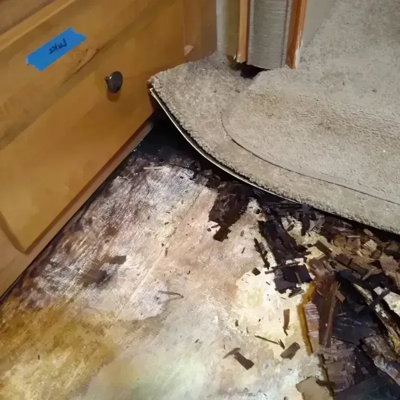 Wood Floor Water Damage in Wayne County, UT